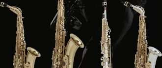 Как выбрать саксофон: Руководство для начинающих и продвинутых музыкантов